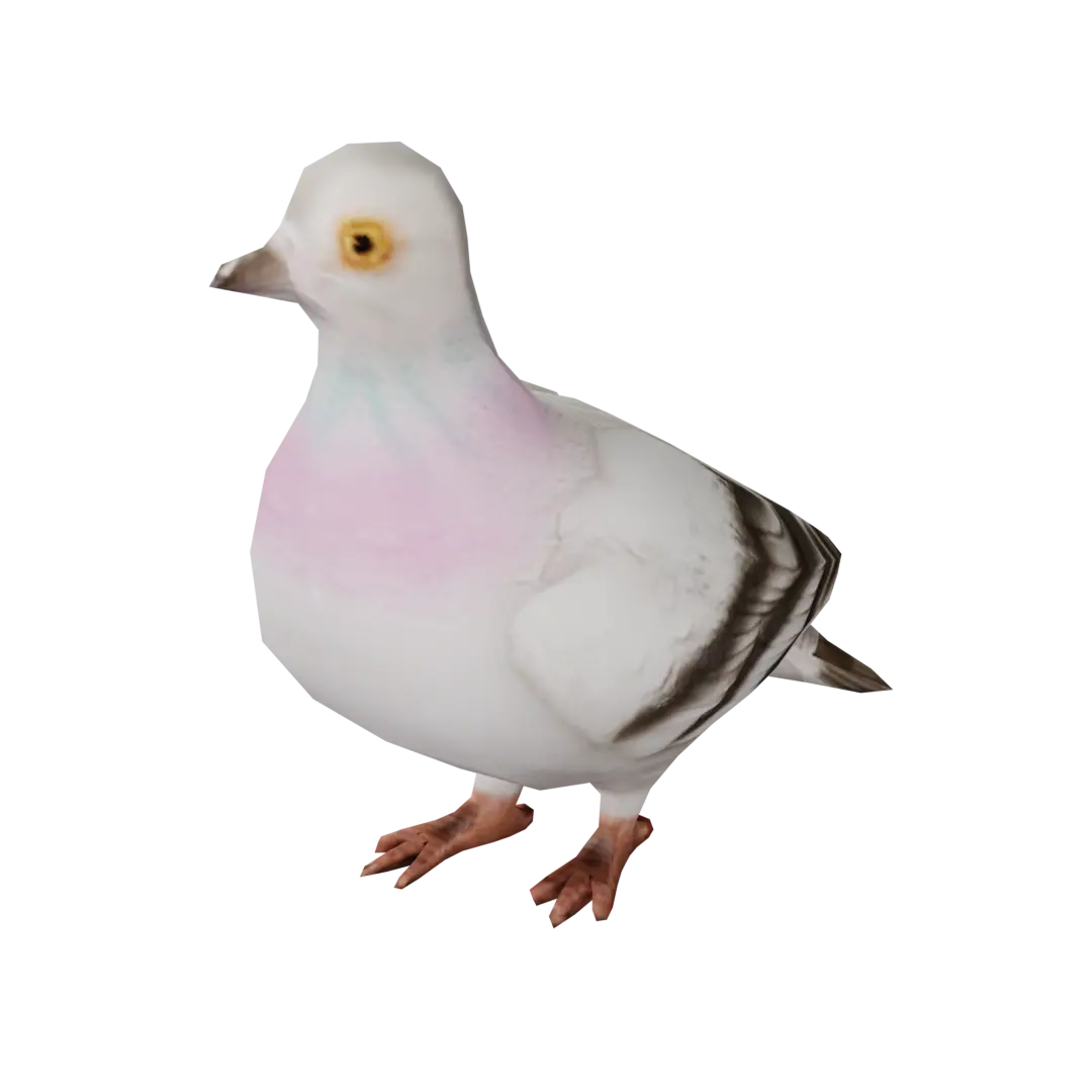 Белый голубь