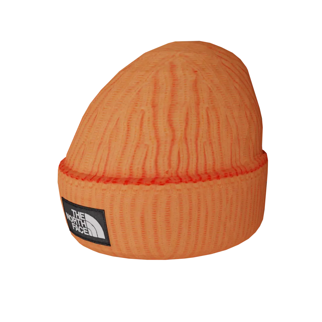 Шапка "The North Face"