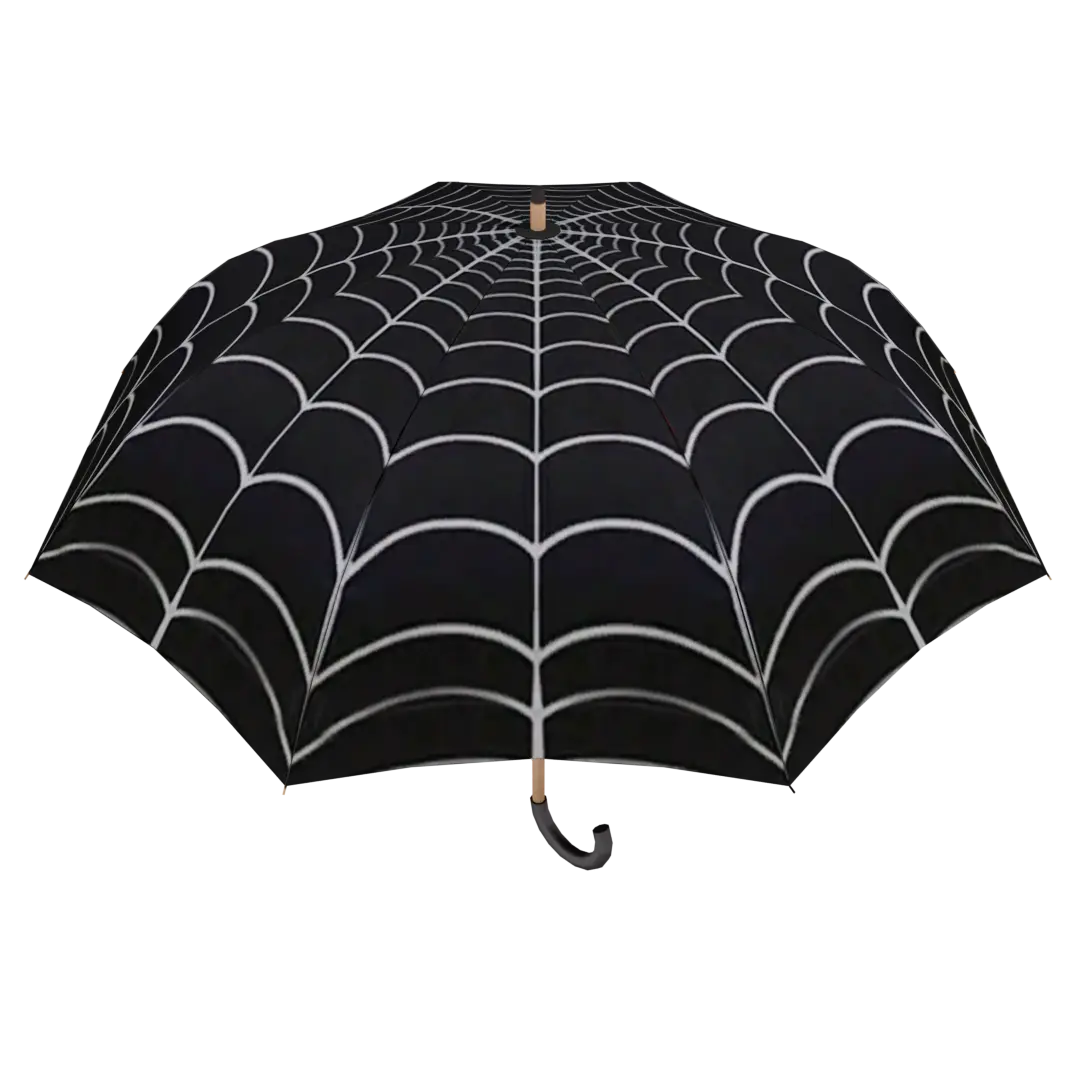 "SPIDERWEB"