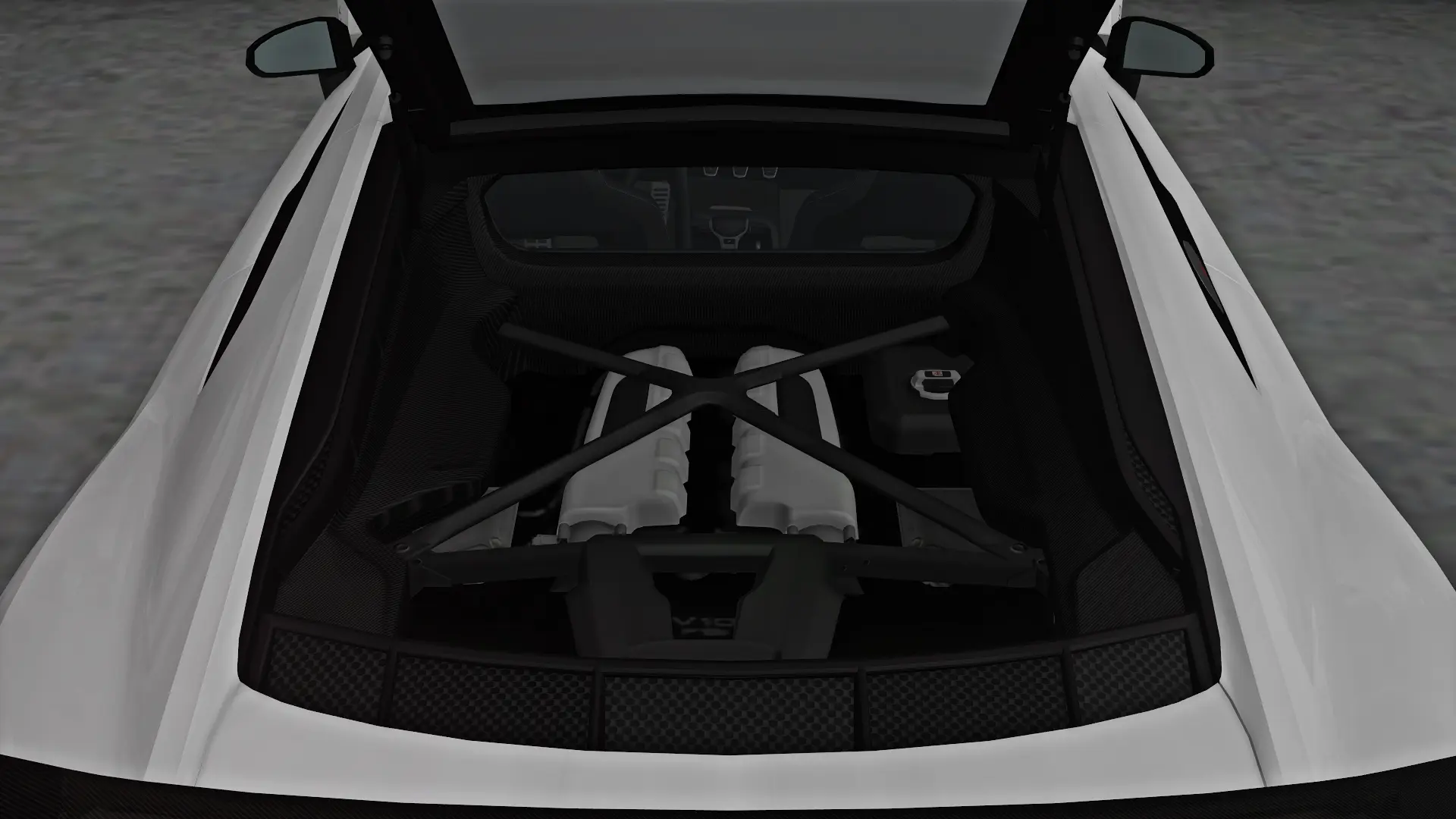 Trunk