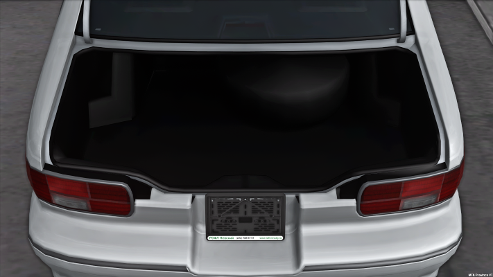 Trunk