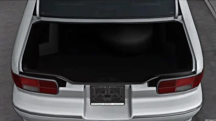 Trunk