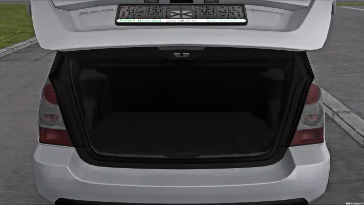 Trunk