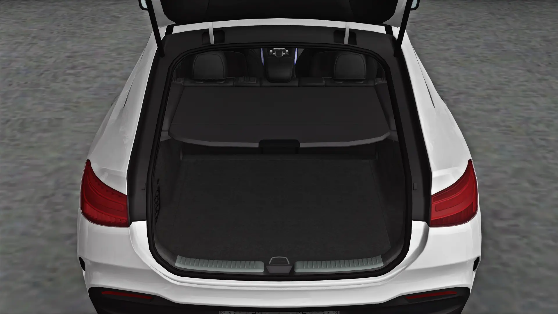 Trunk