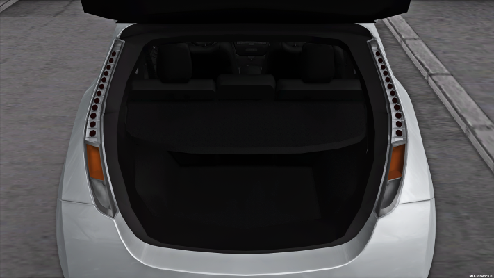 Trunk